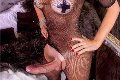 Foto Hot Incontro Ale Cavallona Trans Legnano - 12