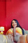 Foto Hot Incontro Luana Castrinni Trans Milano - 11
