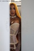 Foto Incontro Al�cia Lins Trans Milano - 91