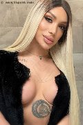 Foto Incontro Angel Bunny Transescort Milano - 5