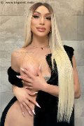 Foto Incontro Angel Bunny Transescort Milano - 3