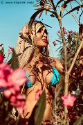Foto Incontro Chrystal Medeiros Pornostar Trans Roma - 38