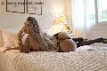 Foto Incontro Gabriella Giaretta Transescort Milano - 7