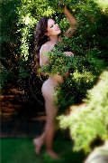 Foto Incontro Isadora Bella Transescort - 1
