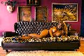 Foto Incontro Jessica Aryani Transescort Brescia - 18