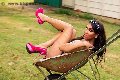 Foto Incontro Thalita Top Xxxl Trans Gallarate - 22