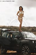Foto Incontro Vanessa Hilton Trans Modena - 110