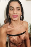 Parma Trans Escort Kelly Hot Piccolina 320 83 08 963 foto selfie 7