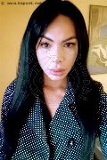 Martinsicuro Trans Escort Kelly Melo Pornostar 350 80 96 697 foto selfie 16