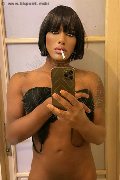 Milano Trav Escort Laura Cubana 338 30 91 910 foto selfie 13