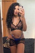Novara Trans Escort Miele 331 78 08 280 foto selfie 55