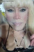 Milano Trans Escort Nicole Vip Venturiny 353 35 38 868 foto selfie 113