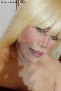 Milano Trans Escort Nicole Vip Venturiny 353 35 38 868 foto selfie 536