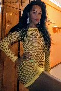 Roma Trans Pryscilla 379 14 66 730 foto selfie 30