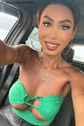  Trans Escort Thayys Castro 329 72 89 046 foto selfie 12