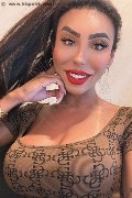  Trans Escort Thayys Castro 329 72 89 046 foto selfie 18