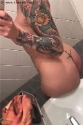 Treviso Trans Escort Valeria 338 87 18 849 foto selfie 672