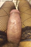 Milano Trans Escort Virna La Super Dotata 349 43 93 969 foto selfie 6