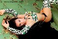 Foto Incontro Bella Solare Transescort Giussano - 23