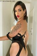 Foto Incontro Nick Miller Transescort Verona - 78