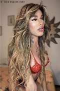 Foto Incontro Sofia Transescort Milano - 7