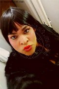 Spresiano Trans Brunna Huns 366 11 01 715 foto selfie 35